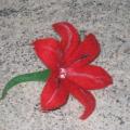 laizanika - Raudona lelija