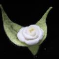 Levita-filz - Baltoji rožė