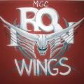 Iron wings