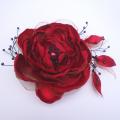 Sagė-raudonoji gėlė