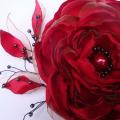 Sagė-raudonoji gėlė