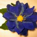 vidosgalerija - Mėlyna gėlė - sagė