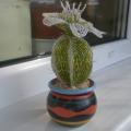 vikulia74 - Pavasarinis kaktusas