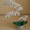aistesil - Smulkiaziede orchideja 43cm