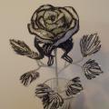 Šalnos rožė