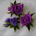 violetinės rožės