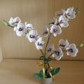 aistesil - Karaliskoji orchideja5 (58x54cm)