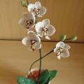 aistesil - Orchideja "5 ziedai " 43cm