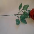Aistringa rožė