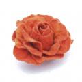 Aliira - Oranžinė rožė