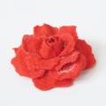 Aliira - Raudona rožė