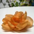 astra - Sage "Puikus ziedelis "