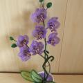 aistesil - Orchideja "Pavasario kvapai " 50cm