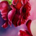 "Rožės bučinys " 70x100