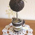 Coffee beans topiary  / kavos medis