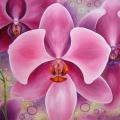 Orchidėjos sapnas  100x70