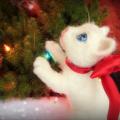 Katinėlis Sniegelis - veltos merino vilnos pozuojantis žaislas - baltas kačiukas