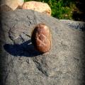 Vaiidute - Žiedas su pajūrio akmenuku ir išgraviruota runa