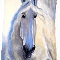 Wool-shred - Veltas paveikslas "The horse"