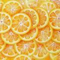 Apelsinai 50x25, al.drobė