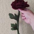 blansyte - Rožė su koteliu