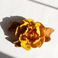 menai - Velta rusvų spalvų gėlė