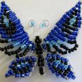Agava - Mėlynas drugelis