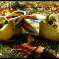 MiMoZa - rudeniniai elfo batai