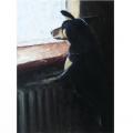 dragolish - "Šuo prie lango"