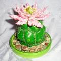 Lilija12 - kaktusas