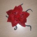 saule1 - Raudonoji gėlė