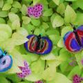 fancycolor - drugeliai2