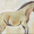 Musia - arklys