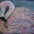ravenmight - Flamingo