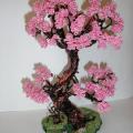 rozinis bonsai