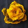 schilkine - Saulės gėlė