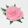 jewellery-box - Veltinio rožė
