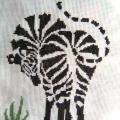 Tacu - Zebras :)