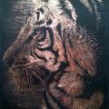 Tigras :)
